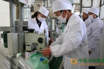 新疆馬鈴薯淀粉廠：大力生產馬鈴薯淀粉 ()