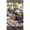 萊蕪優質箱裝土豆