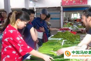 浙江：臺(tái)風(fēng)過(guò)境，菜價(jià)小幅上漲 ()