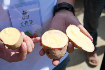 ?？冢?200噸應(yīng)急蔬菜瓜果已抵達 ()