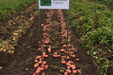 關于印發《關于加快農業保險高質量發展的指導意見》的通知 ()