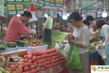 烏蘭察布：馬鈴薯產業不斷發展 ()