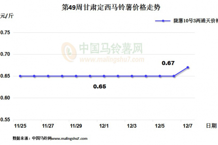 薯市整體維穩 定西購銷兩旺 ()