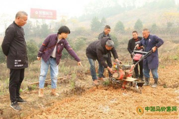 湖南邵陽：冬馬鈴薯栽培技術示范 ()