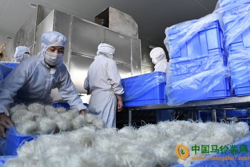 甘肅渭源：發展馬鈴薯主食化產品 ()