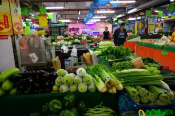 秦皇島惠民補(bǔ)貼肉類和蔬菜 ()