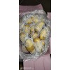 標準三兩以上平度貨，無發芽，黑心