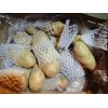 優質特大土豆六兩通天13406088937