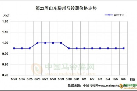 露天新薯即將登場 薯市將如何發展? ()