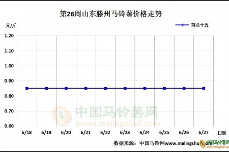 7月即將來臨 薯價將如何發展？ ()