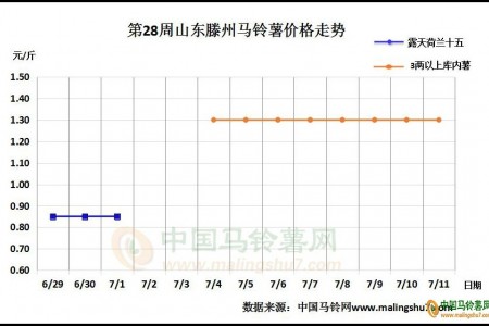 山東入庫進入尾期 北方一作區新薯上市 ()
