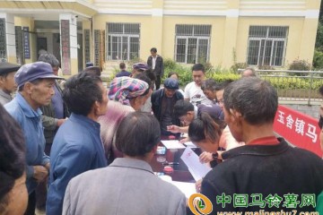六盤水：馬鈴薯受災獲賠付，村民有了定心丸 ()