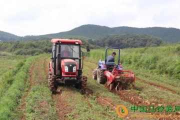 威寧：機械化生產助力馬鈴薯提效增收 ()