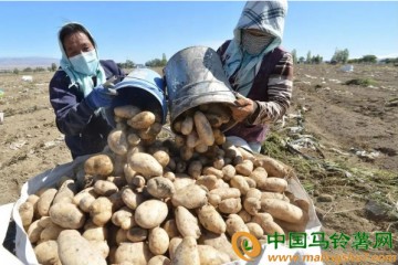 巴里坤縣：馬鈴薯雪花全粉加工項目正在建設 ()