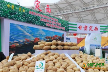 甘肅：馬鈴薯總產量位居全國第二 ()