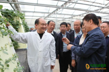 院士專家呂梁行 考察馬鈴薯產業發展 ()