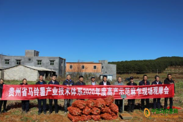 威寧：召開馬鈴薯高產示范現場觀摩會 ()
