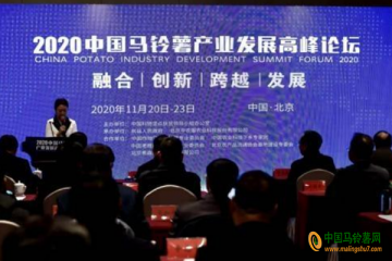 2020中國馬鈴薯產業發展高峰論壇在北京召開 ()