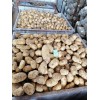 大量出售荷蘭黃皮黃心土豆，市場大貨、出口小貨，規格齊