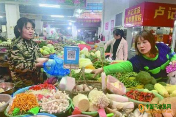 益陽：蔬菜價格平穩 ()