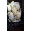 自收自存:優質貨源:精品箱裝: