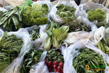 門頭溝區：蔬菜供應充足 價格以漲為主 ()
