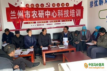 永登：舉辦馬鈴薯科技培訓班 ()