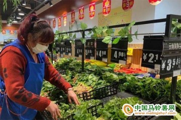 菏澤：菜價繼續小幅下降 ()