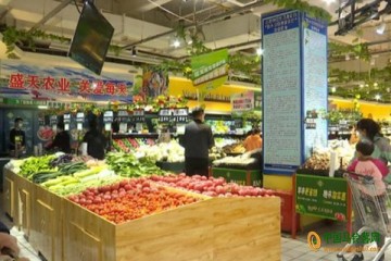 酒泉：菜價逐步回落 ()