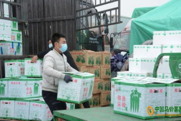 新發地：大部分蔬菜價格回落 ()