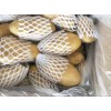 大量供應山東膠州庫存荷蘭十五土豆