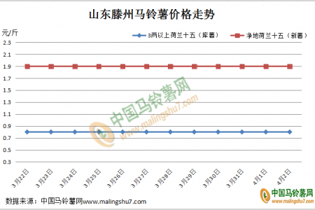 新薯上市 “薯”光已現？ ()