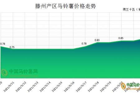 入庫需求支撐 新薯價格上漲 ()