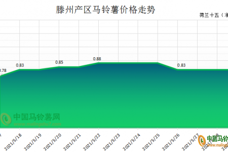 薯市購銷一般 價格落后持穩 ()