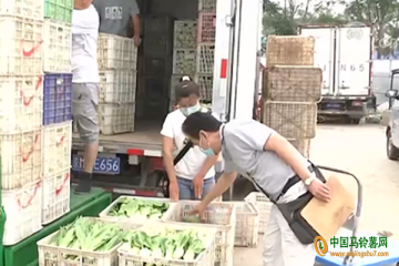 6月全國蔬菜價格持續季節性回落 ()