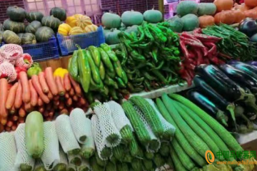 陜西：蔬菜價格連續兩周上漲 ()