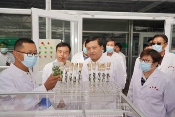 山東省科技廳廳長赴希森馬鈴薯集團內蒙古基地調研 ()
