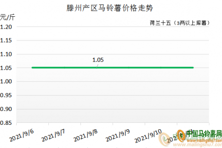 庫薯交易量少 新薯購銷隨行 ()
