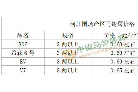 新薯以質論價 庫薯價格平穩 ()