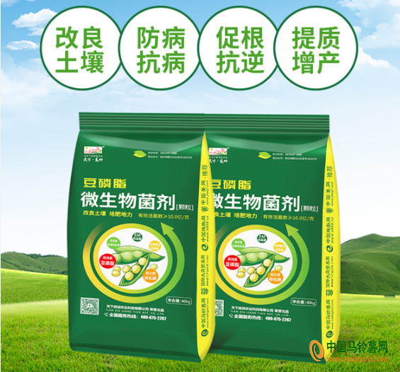 圖片3