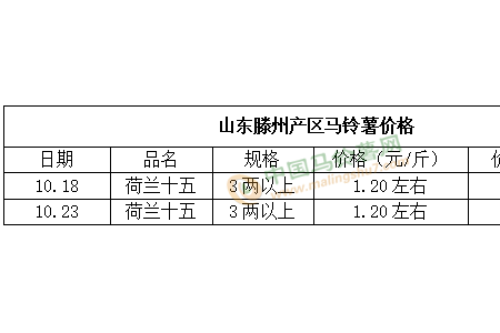 庫薯購銷順暢 好貨價格看漲 ()