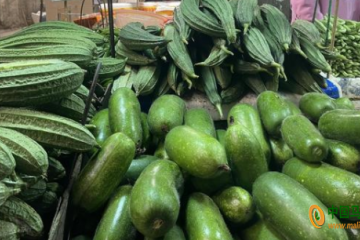 廣州：蔬菜價格平穩回落 ()