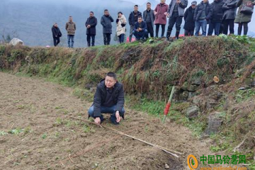 來鳳縣：舉行馬鈴薯集成高效模式種植暨冬農開發推進會 ()