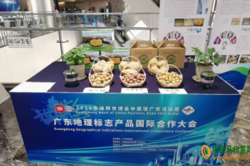 惠東馬鈴薯亮相迪拜世博會(huì)中國館 ()