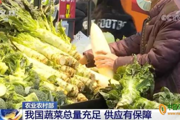 農業農村部：蔬菜價格將呈現季節性回落 ()