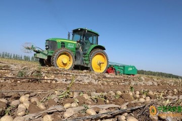 民樂：做優做強馬鈴薯產業 ()