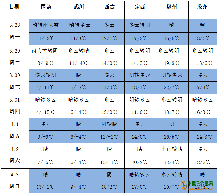 圖片13
