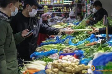 全國菜價較往年同期漲兩成 ()