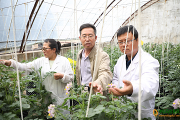 甘肅定西：全力打造種薯繁育供應基地 ()