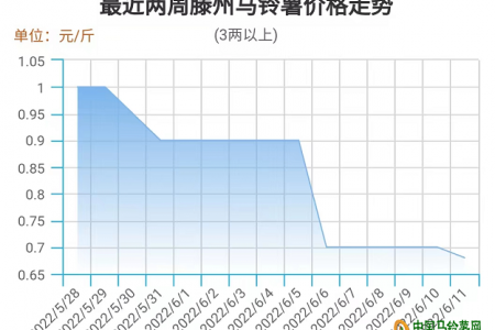 薯市行情企穩 反彈之機可期 ()
